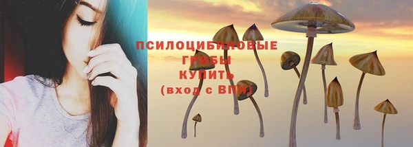 амфетамин Ветлуга