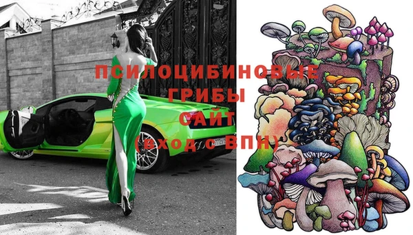 каннабис Новокубанск