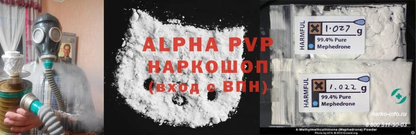 молекула духа Новодвинск