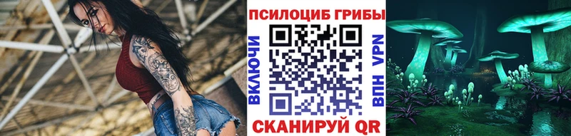 hydra ссылки  где купить наркотик  Калтан  Псилоцибиновые грибы мицелий 